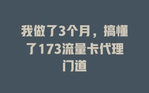 我做了3个月，搞懂了173流量卡代理门道