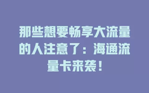 那些想要畅享大流量的人注意了：海通流量卡来袭！