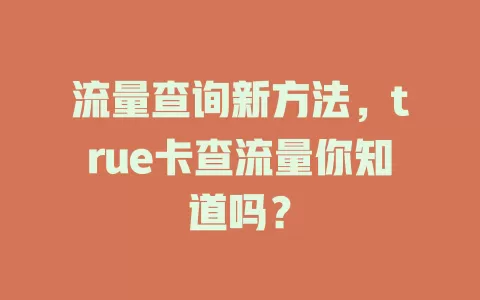 流量查询新方法，true卡查流量你知道吗？
