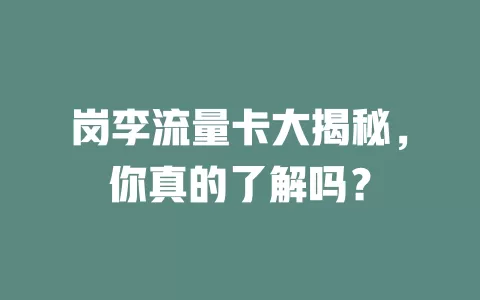 岗李流量卡大揭秘，你真的了解吗？