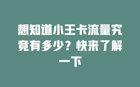 想知道小王卡流量究竟有多少？快来了解一下