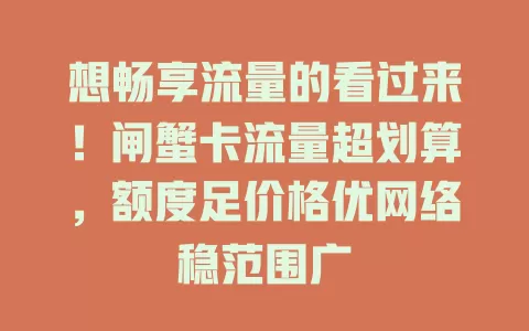 想畅享流量的看过来！闸蟹卡流量超划算，额度足价格优网络稳范围广