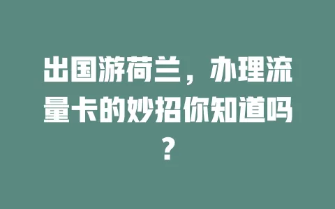 出国游荷兰，办理流量卡的妙招你知道吗？