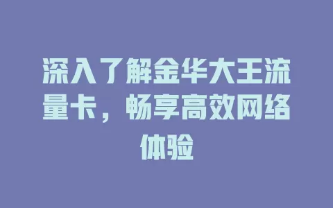 深入了解金华大王流量卡，畅享高效网络体验