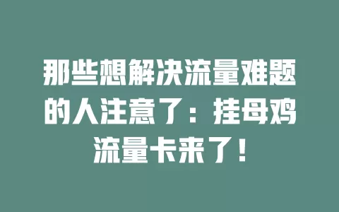 那些想解决流量难题的人注意了：挂母鸡流量卡来了！