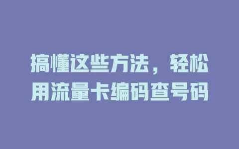 搞懂这些方法，轻松用流量卡编码查号码