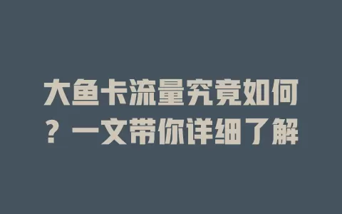 大鱼卡流量究竟如何？一文带你详细了解
