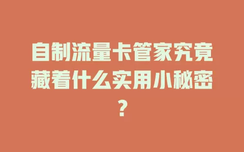 自制流量卡管家究竟藏着什么实用小秘密？