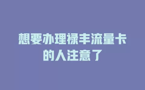 想要办理禄丰流量卡的人注意了
