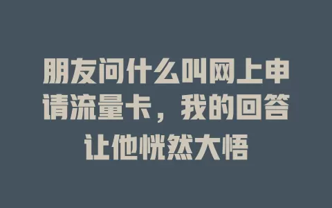 朋友问什么叫网上申请流量卡，我的回答让他恍然大悟