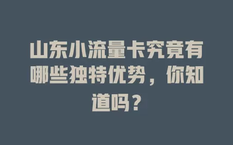 山东小流量卡究竟有哪些独特优势，你知道吗？