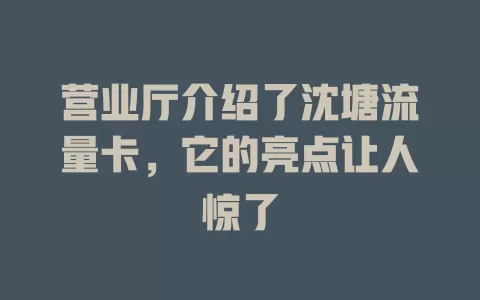 营业厅介绍了沈塘流量卡，它的亮点让人惊了