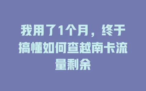 我用了1个月，终于搞懂如何查越南卡流量剩余
