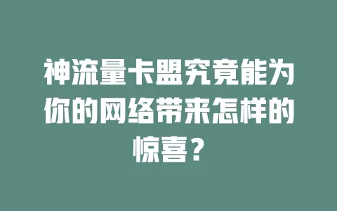 神流量卡盟究竟能为你的网络带来怎样的惊喜？