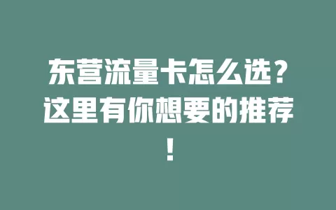 东营流量卡怎么选？这里有你想要的推荐！