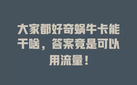 大家都好奇蜗牛卡能干啥，答案竟是可以用流量！