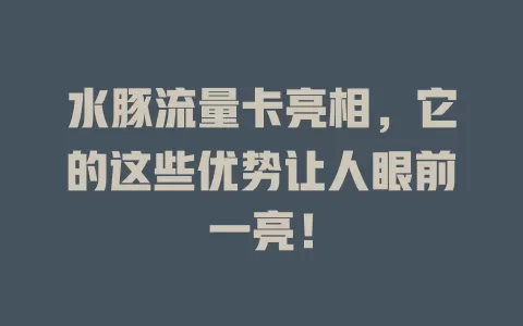 水豚流量卡亮相，它的这些优势让人眼前一亮！