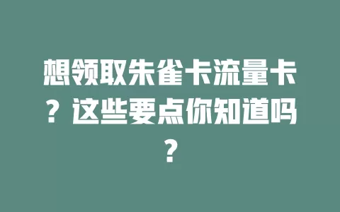 想领取朱雀卡流量卡？这些要点你知道吗？