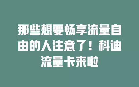 那些想要畅享流量自由的人注意了！科迪流量卡来啦