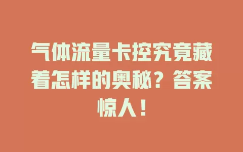 气体流量卡控究竟藏着怎样的奥秘？答案惊人！