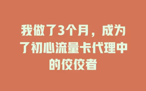 我做了3个月，成为了初心流量卡代理中的佼佼者
