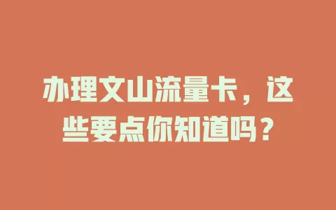 办理文山流量卡，这些要点你知道吗？