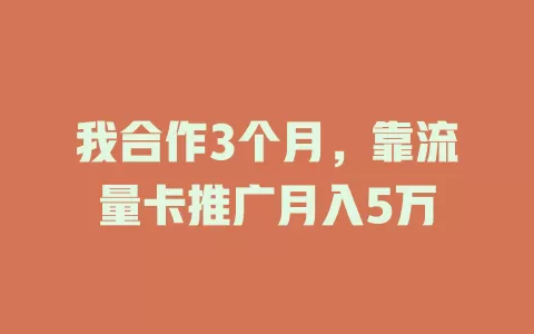 我合作3个月，靠流量卡推广月入5万
