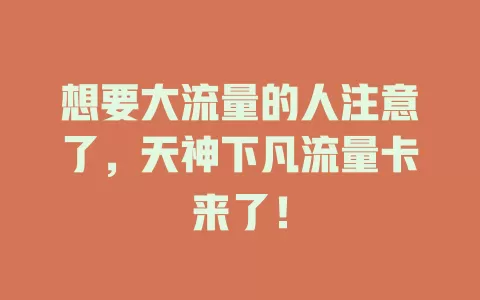 想要大流量的人注意了，天神下凡流量卡来了！