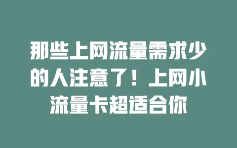 那些上网流量需求少的人注意了！上网小流量卡超适合你