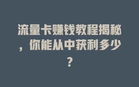 流量卡赚钱教程揭秘，你能从中获利多少？