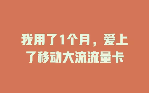 我用了1个月，爱上了移动大流流量卡