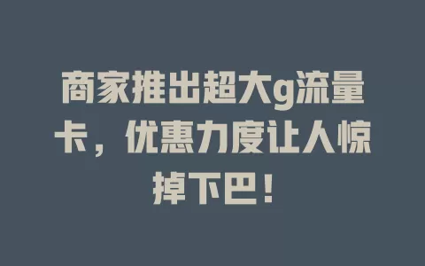 商家推出超大g流量卡，优惠力度让人惊掉下巴！