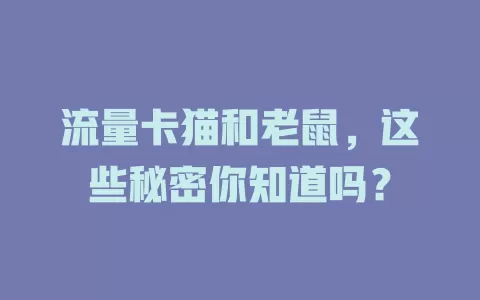 流量卡猫和老鼠，这些秘密你知道吗？