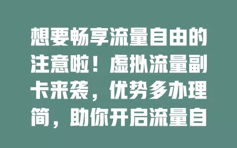 想要畅享流量自由的注意啦！虚拟流量副卡来袭，优势多办理简，助你开启流量自由之旅