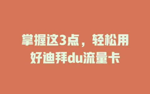 掌握这3点，轻松用好迪拜du流量卡