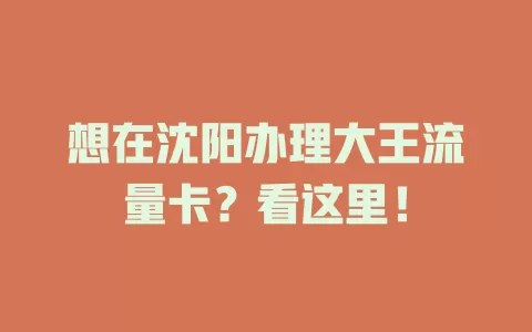 想在沈阳办理大王流量卡？看这里！