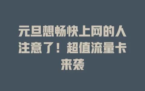 元旦想畅快上网的人注意了！超值流量卡来袭
