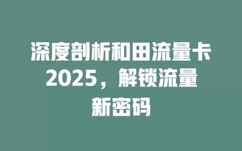 深度剖析和田流量卡2025，解锁流量新密码
