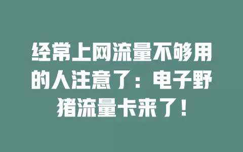 经常上网流量不够用的人注意了：电子野猪流量卡来了！
