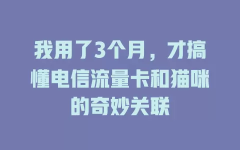 我用了3个月，才搞懂电信流量卡和猫咪的奇妙关联