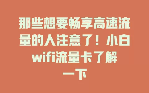 那些想要畅享高速流量的人注意了！小白wifi流量卡了解一下