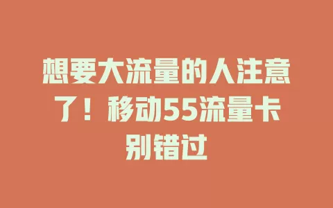 想要大流量的人注意了！移动55流量卡别错过