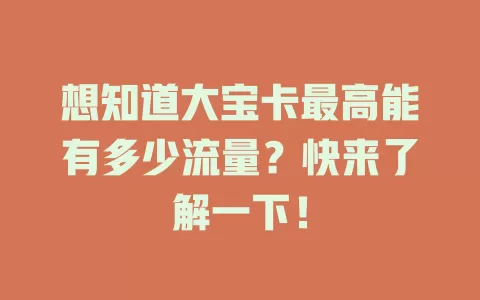 想知道大宝卡最高能有多少流量？快来了解一下！