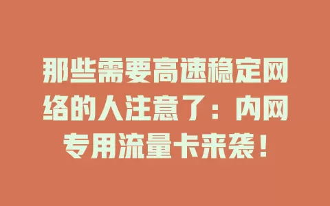 那些需要高速稳定网络的人注意了：内网专用流量卡来袭！