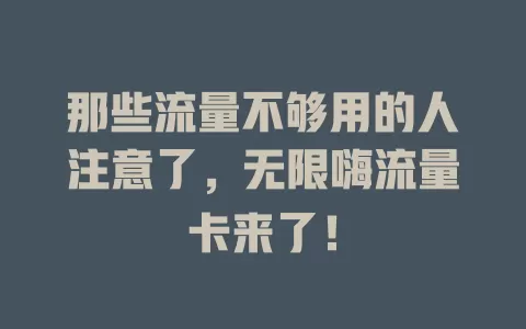 那些流量不够用的人注意了，无限嗨流量卡来了！