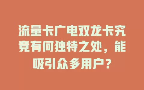 流量卡广电双龙卡究竟有何独特之处，能吸引众多用户？