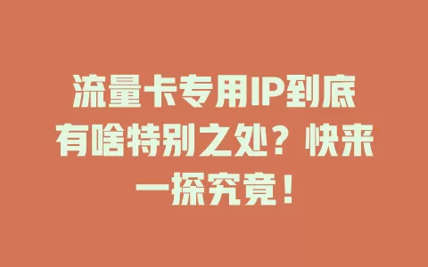流量卡专用IP到底有啥特别之处？快来一探究竟！