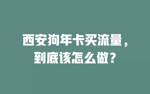 西安狗年卡买流量，到底该怎么做？
