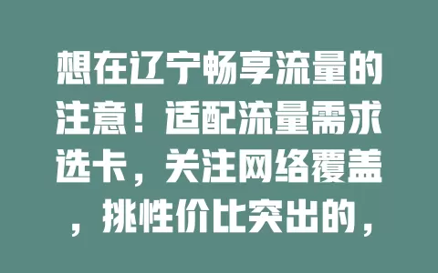 想在辽宁畅享流量的注意！适配流量需求选卡，关注网络覆盖，挑性价比突出的，如 30 元左右 60GB 的卡，按需对比选出省钱好用的辽宁流量卡