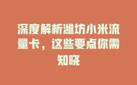深度解析潍坊小米流量卡，这些要点你需知晓
